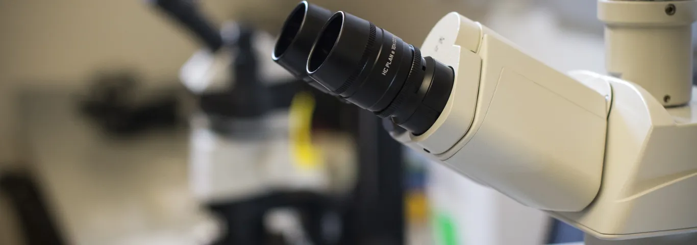 Microscope