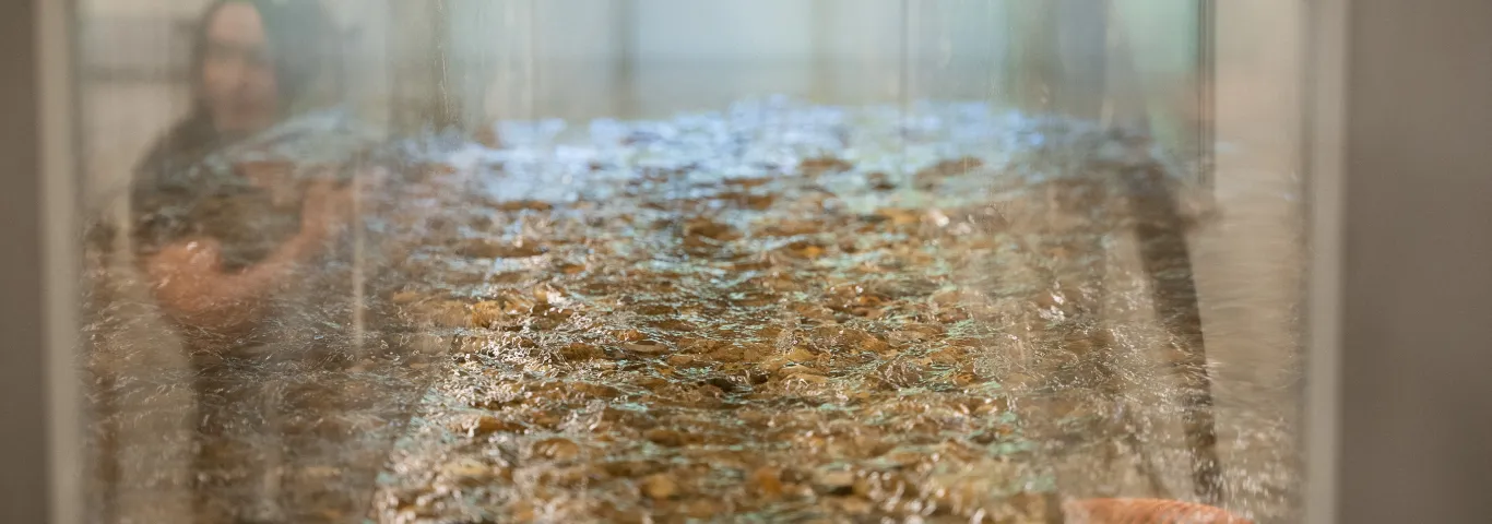 Masteller uses a flume to study the erosion patterns of gravel bed rivers