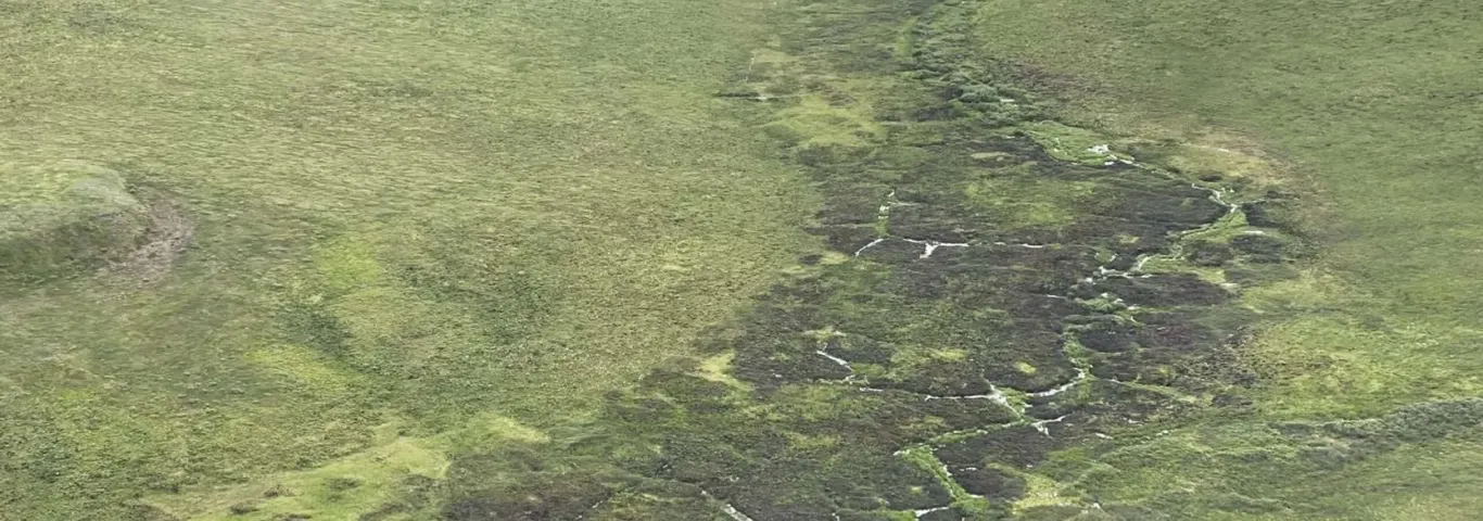 TGI-funded Project Uses Geospatial Tech to Study Permafrost, Plants, and Wildfire