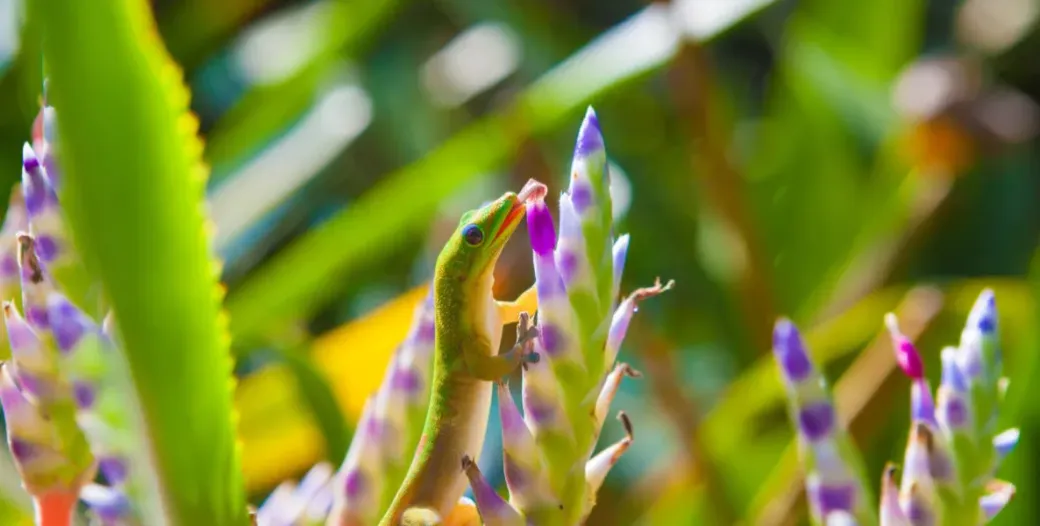"Small salamander climbing a plant and licking the top flower"