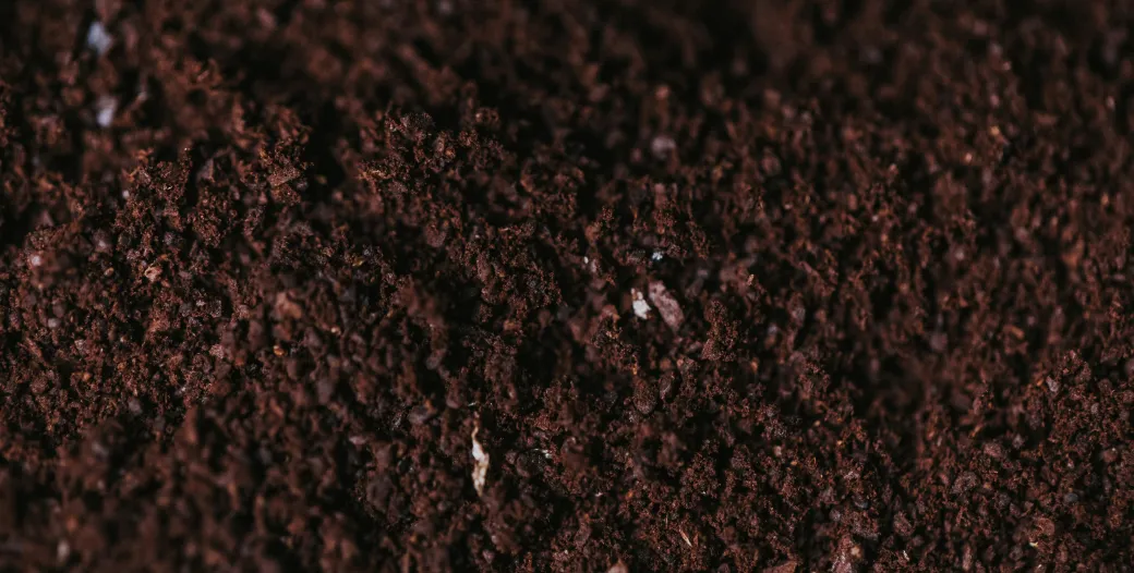 "soil"