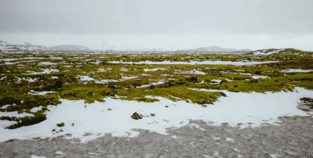 "frosty landscape"