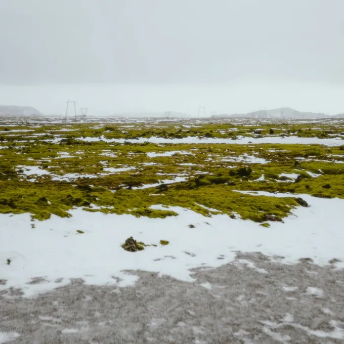 "frosty landscape"