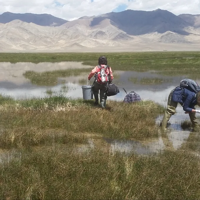 People in flooded field